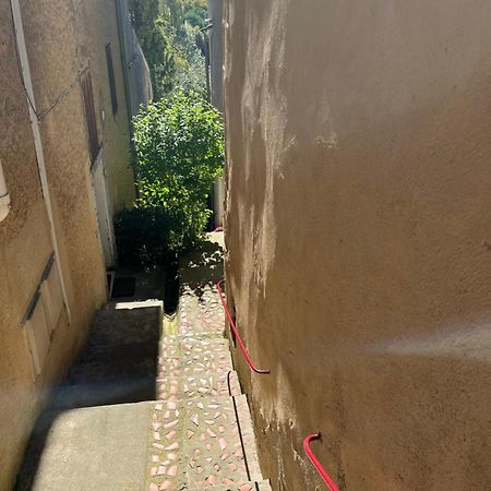 Le Tapis Vert - Loft Avec Jardin Auch Exterior foto