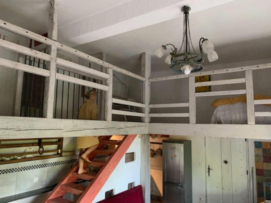 Le Tapis Vert - Loft Avec Jardin Auch Exterior foto